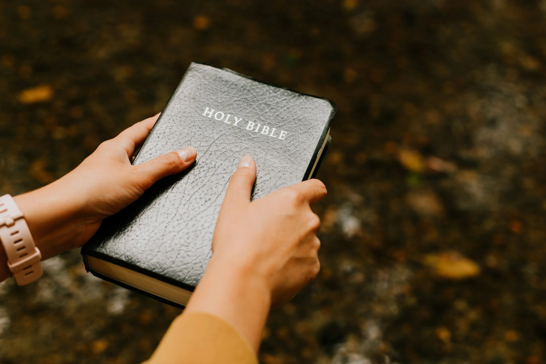 Hands holding a black Holy Bible against a blurred natural background